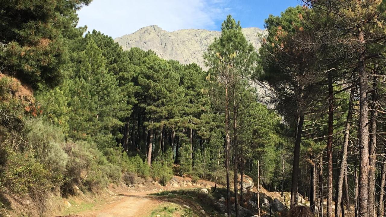 La Calleja Villarejo del Valle Buitenkant foto